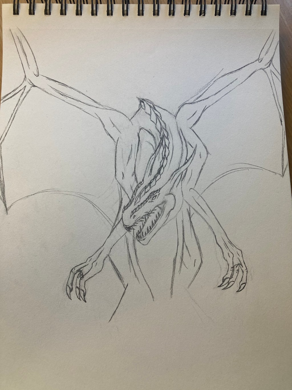 Second Quarterly Update